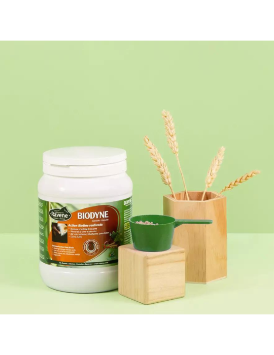 Biodyne RAVENE