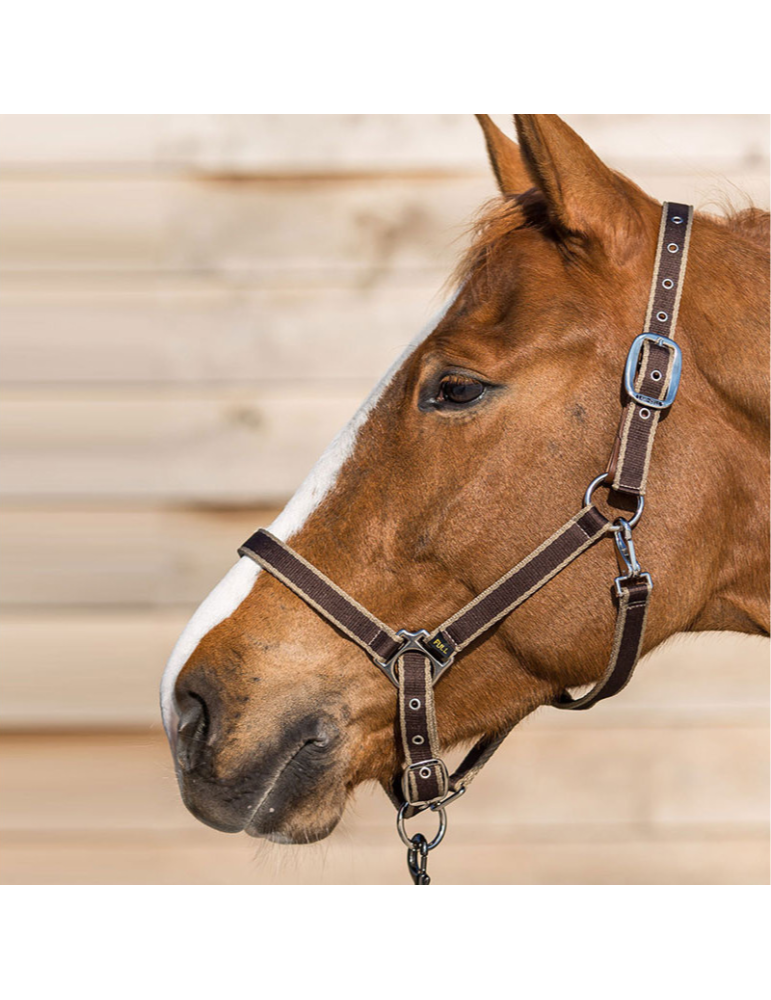 Licol LAMICELL système breakaway