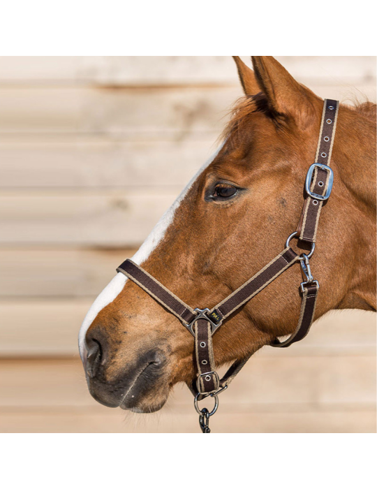 Licol LAMICELL système breakaway