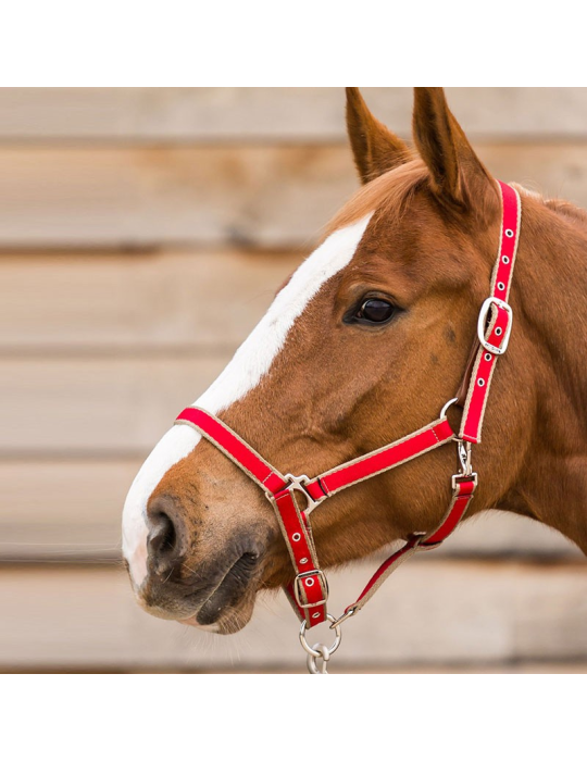 Licol LAMICELL système breakaway