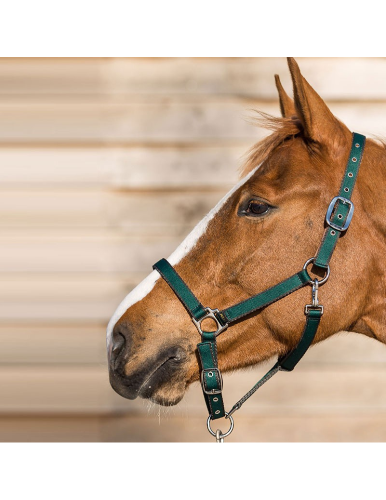 Licol LAMICELL système breakaway