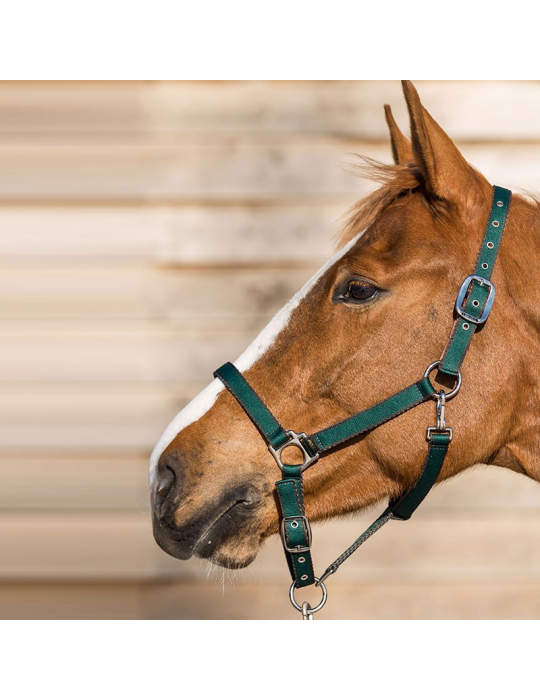 Licol LAMICELL système breakaway