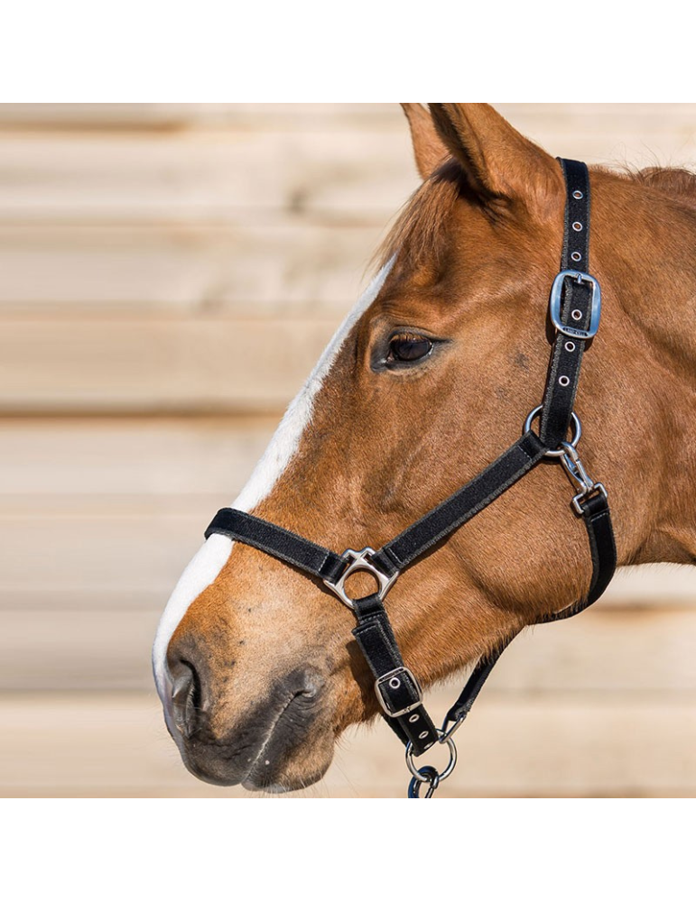 Licol LAMICELL système breakaway