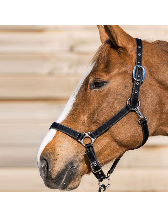 Licol LAMICELL système breakaway