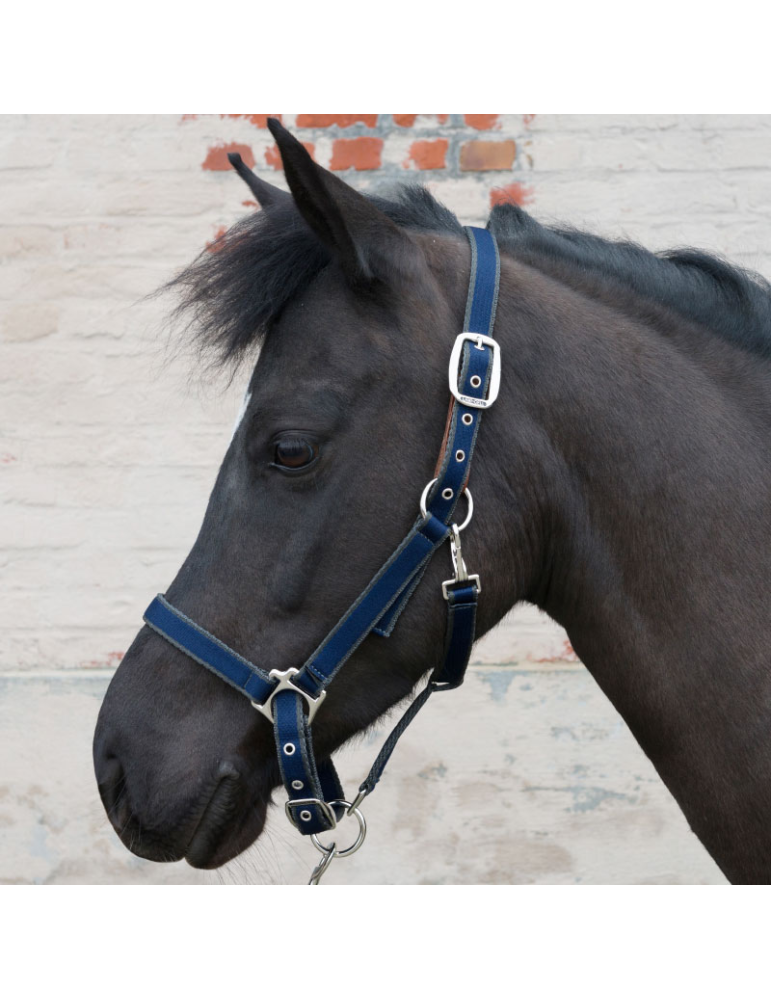 Licol LAMICELL système breakaway