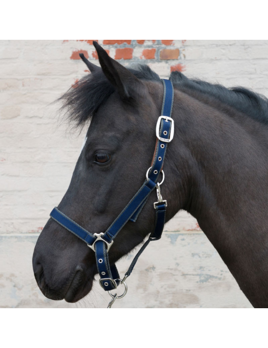 Licol LAMICELL système breakaway