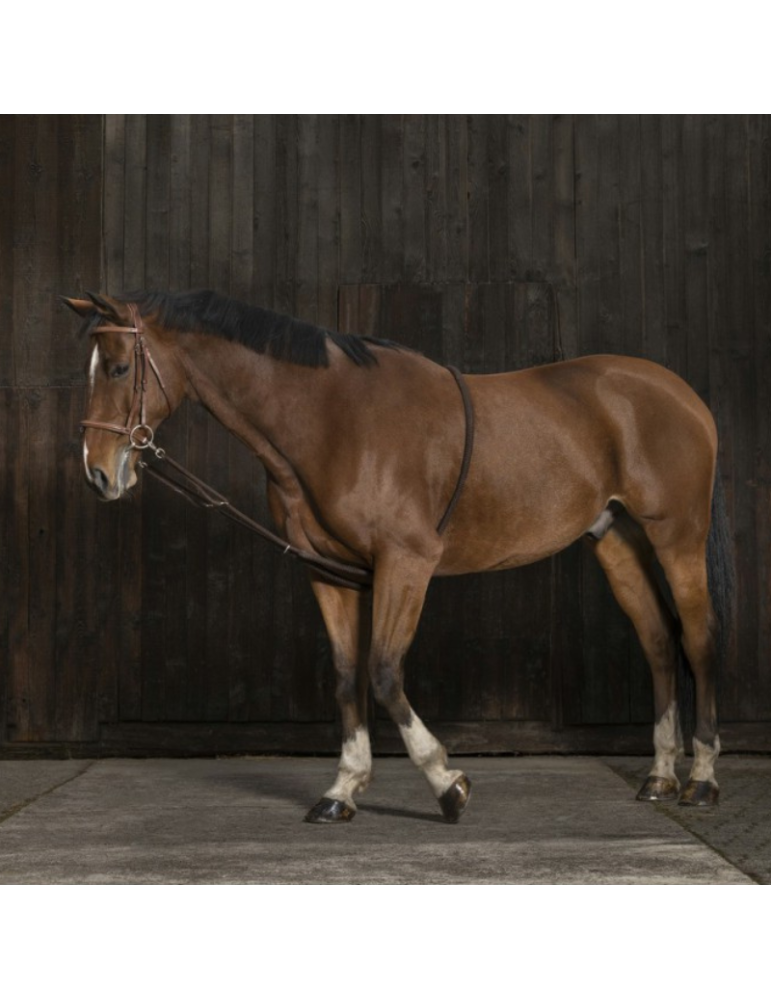 Enrênement extenseur doux NORTON