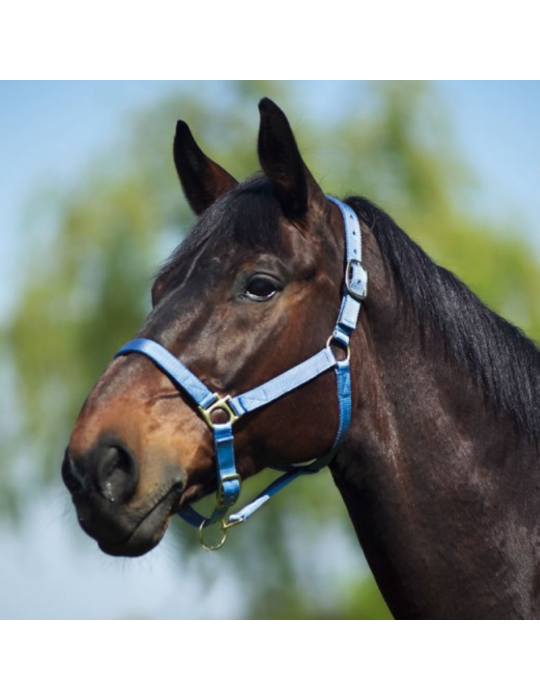 Licol nylon doublé cuir SHET