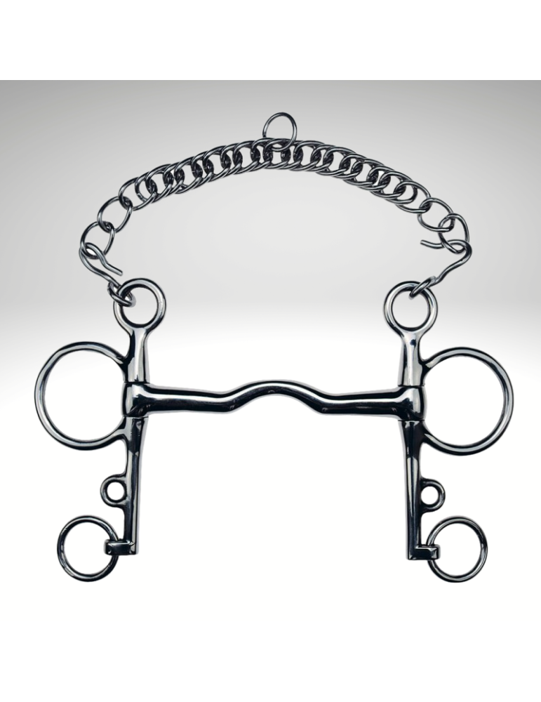 Pelham droit pass. de langue  FEELING