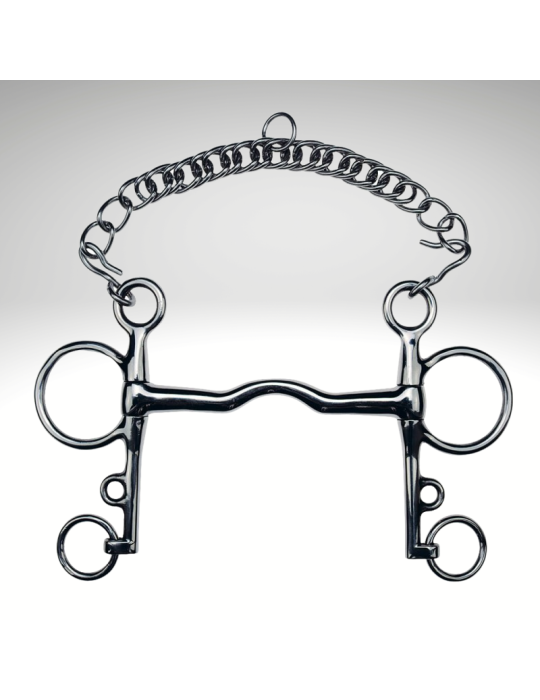 Pelham droit pass. de langue  FEELING