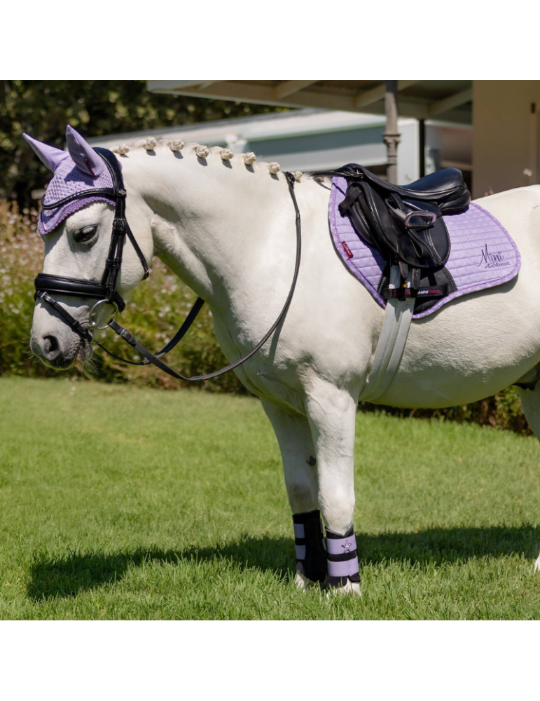 Mini Jump Square Suede LeMieux