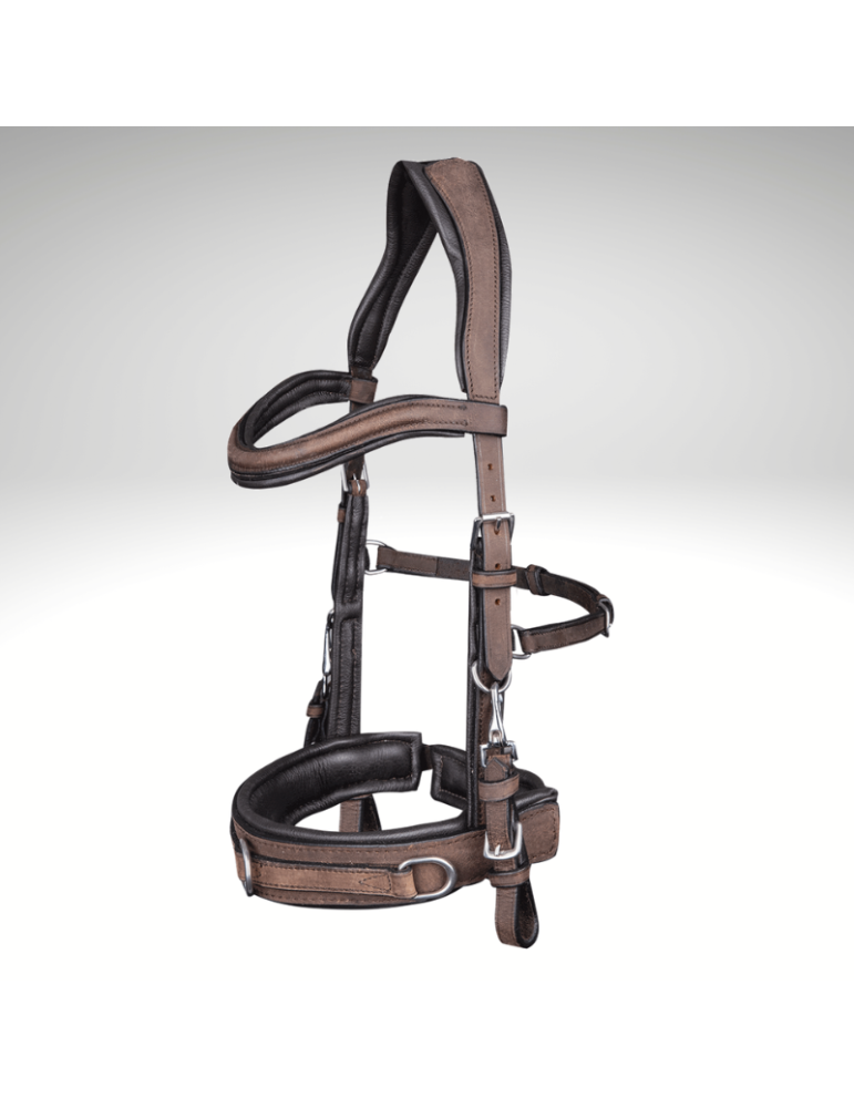 Caveçon cuir WALDHAUSEN