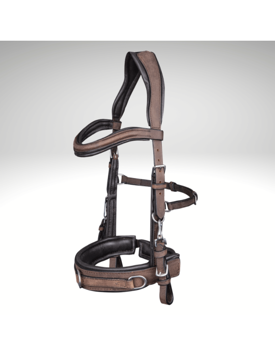 Caveçon cuir WALDHAUSEN