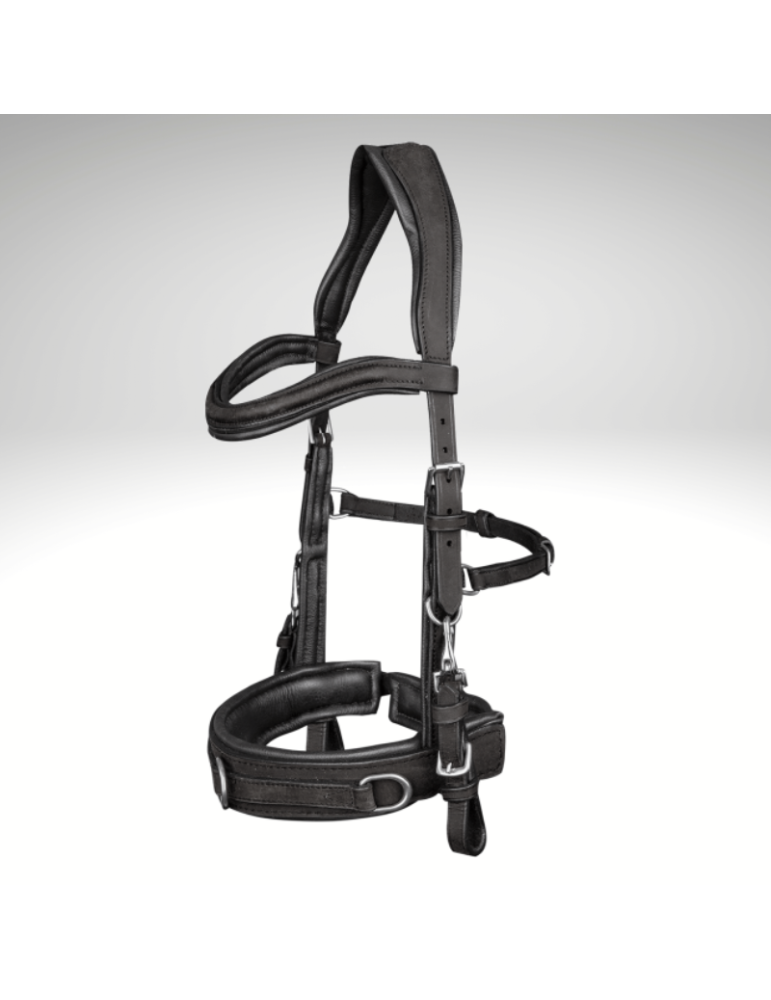 Caveçon cuir WALDHAUSEN