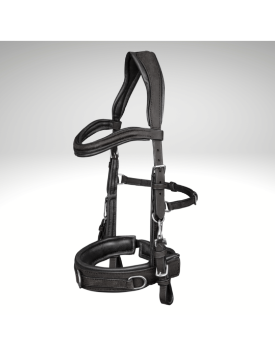 Caveçon cuir WALDHAUSEN