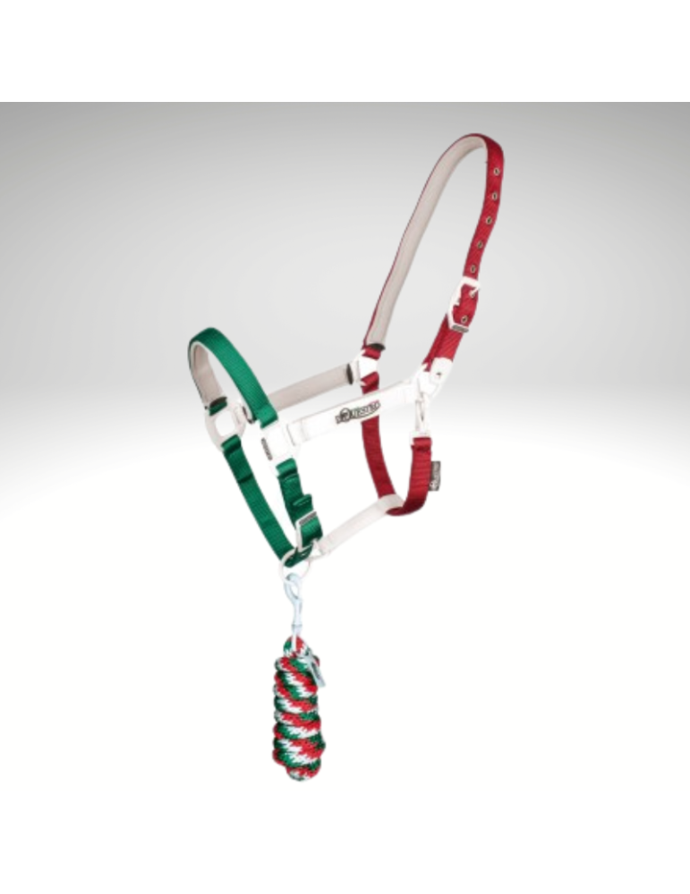 Licol "Flaggy" EQUESTRO