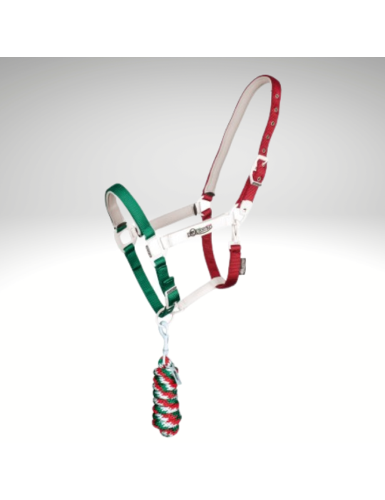 Licol "Flaggy" EQUESTRO