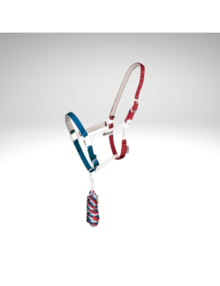 Licol "Flaggy" EQUESTRO