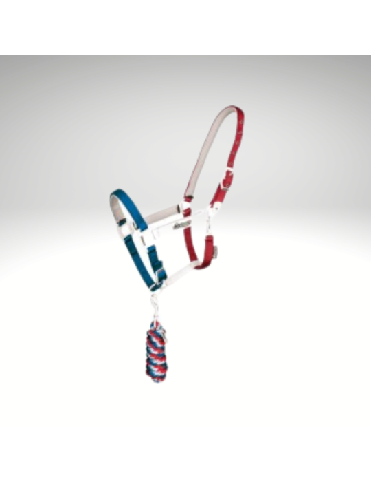 Licol "Flaggy" EQUESTRO