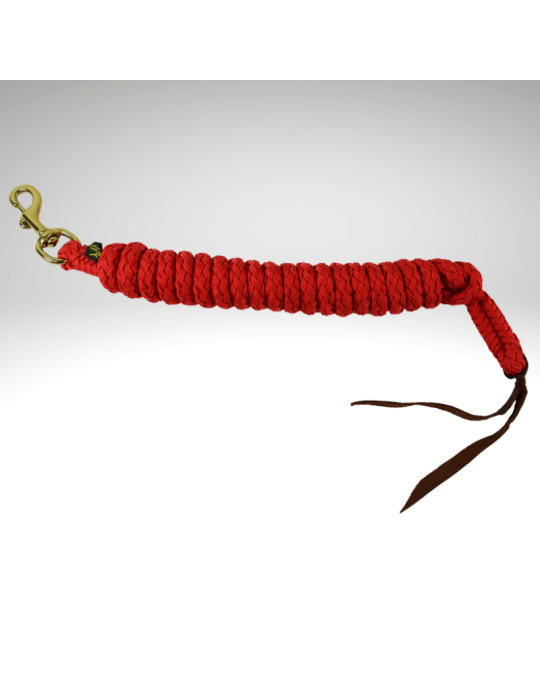 Longe éthologique RONZON