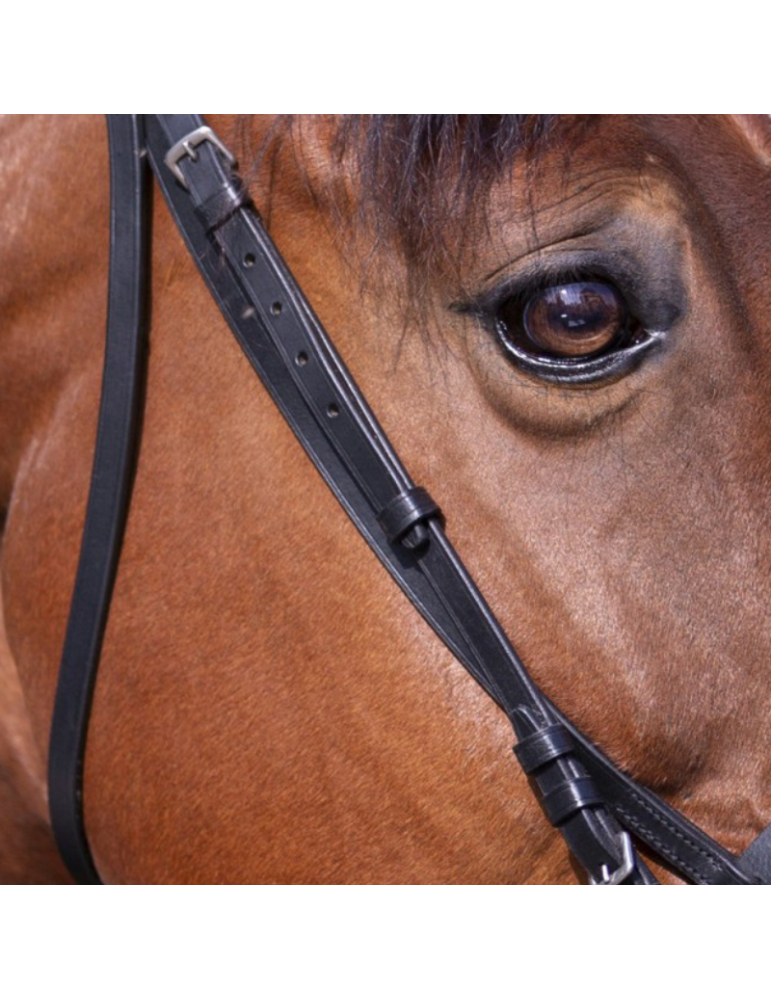 Bridon Muserolle française RW Bridon Muserolle française RW