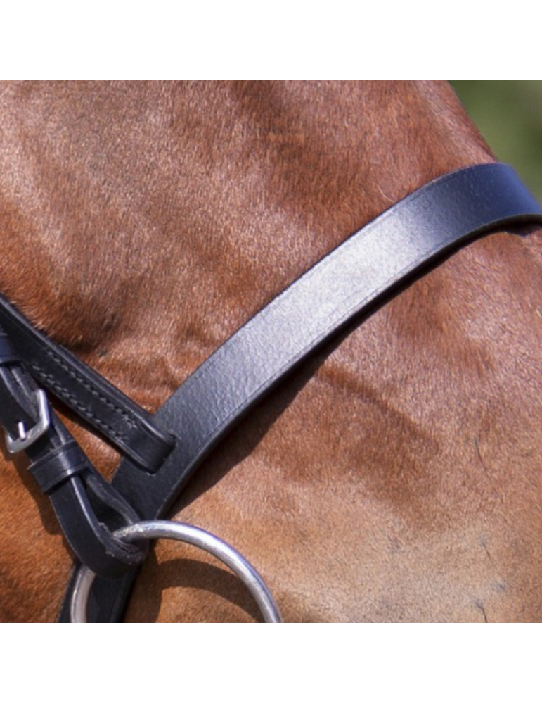 Bridon Muserolle française RW