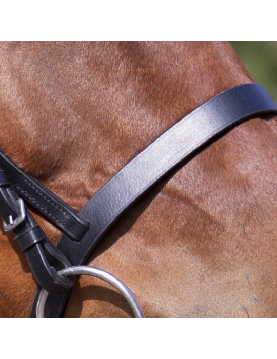 Bridon Muserolle française RW