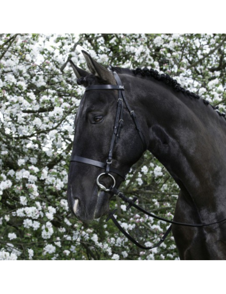 Bridon Muserolle française RW
