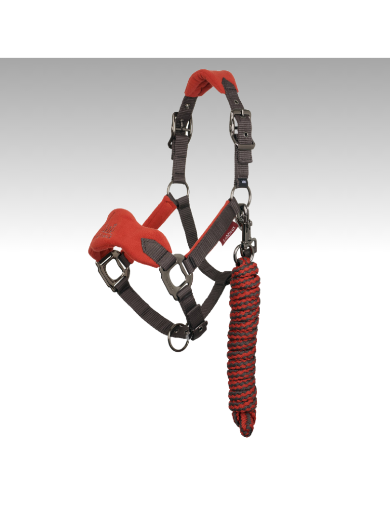 Mini Licol VOGUE LeMieux