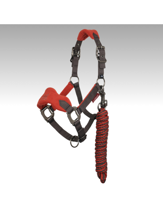 Mini Licol VOGUE LeMieux