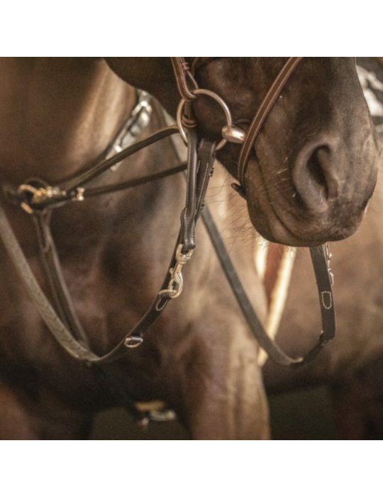 Enrênement "Howlett" PENELOPE