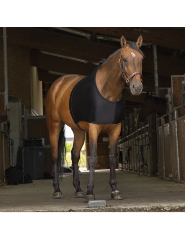 Protection d'épaule - EQUITHEME