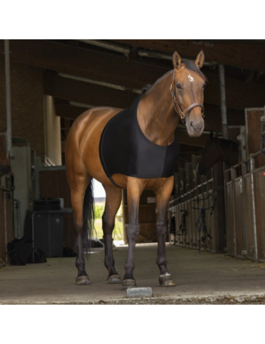 Protection d'épaule - EQUITHEME