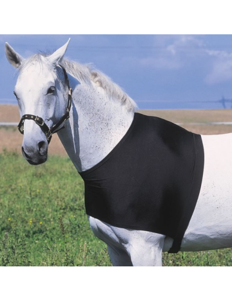 Protection d'épaule - EQUITHEME