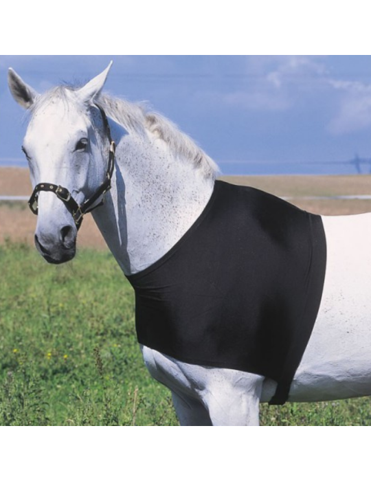 Protection d'épaule - EQUITHEME