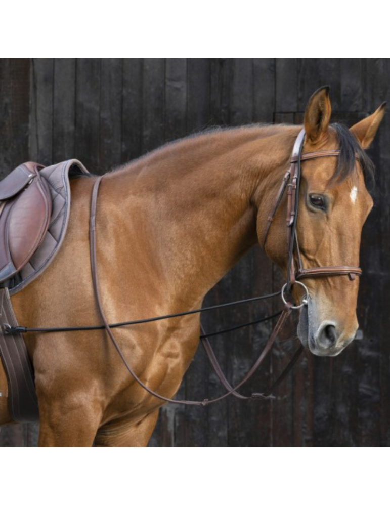 Enrênement long éducatif Enrênement long éducatif