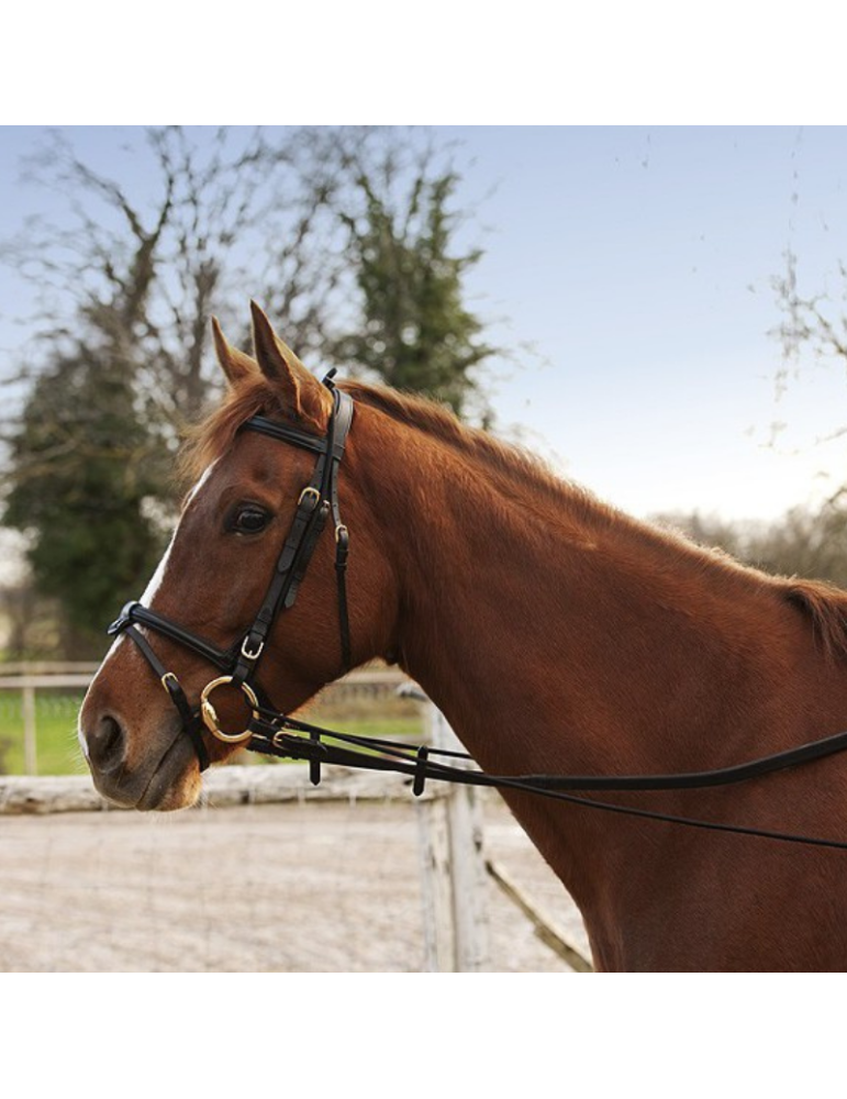 Enrênement long éducatif