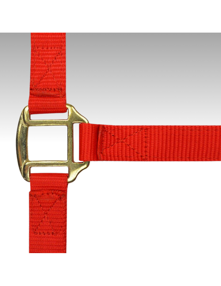 Licol nylon doublé cuir PONEY