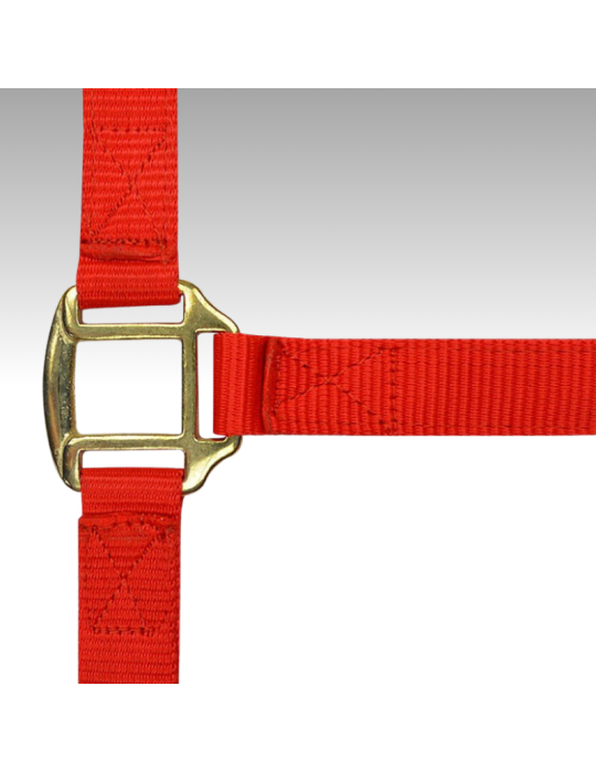 Licol nylon doublé cuir PONEY