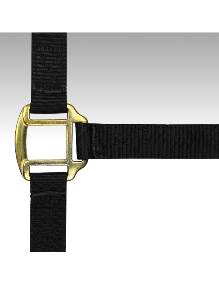 Licol nylon doublé cuir TRAIT