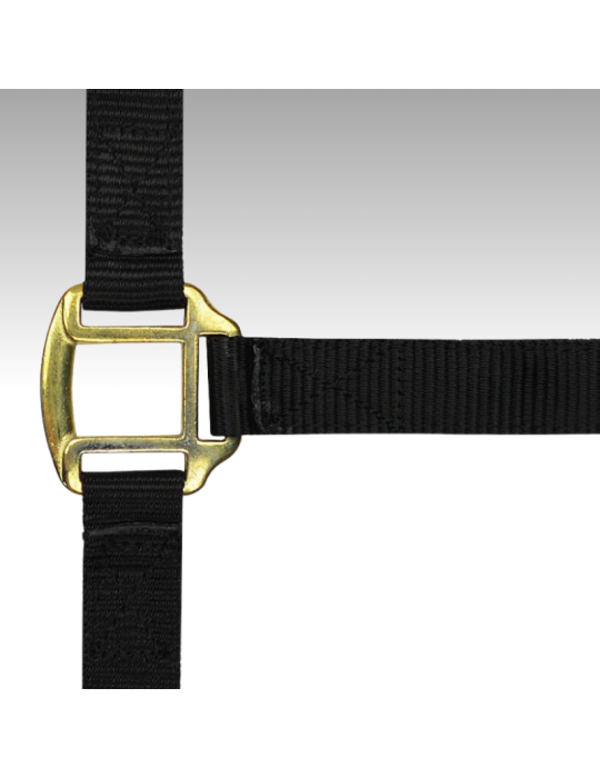 Licol nylon doublé cuir TRAIT