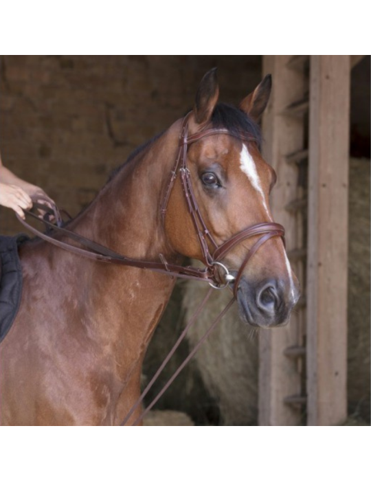Rênes allemandes en cuir / corde NORTON – Sellerie Baude Rênes allemandes en cuir / corde NORTON – Sellerie Baude