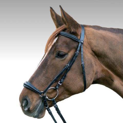 Bridon Hannover STAR