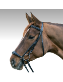 Bridon Hannover STAR