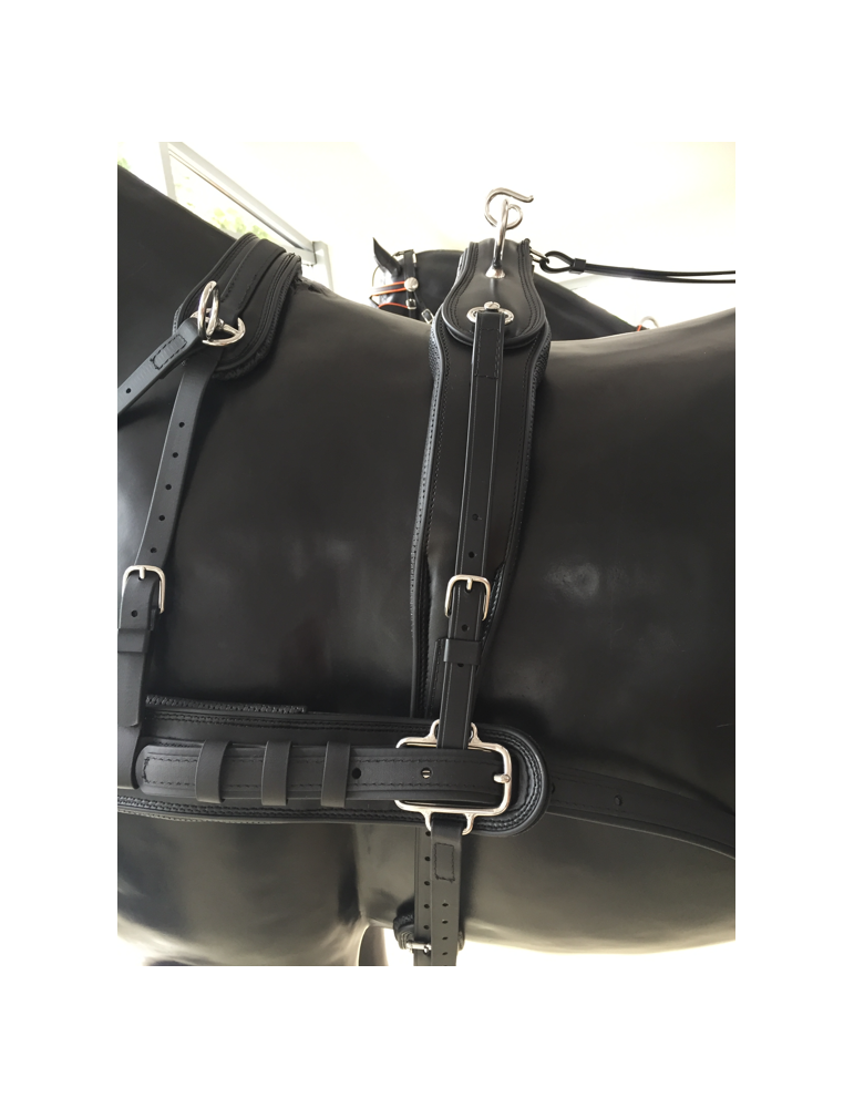 copy of Harnais Lux biothane en simple - SB