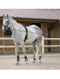 Longues rênes cuir/corde RW