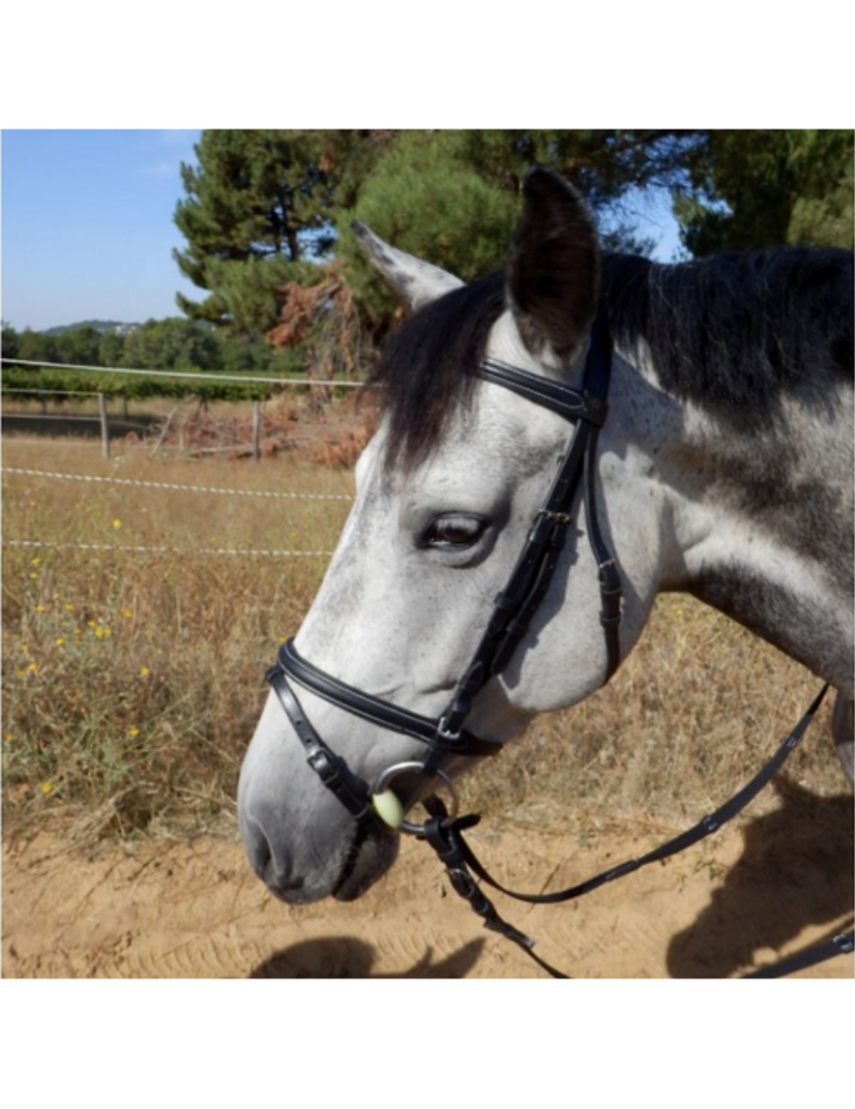 Bridon muserolle combinée SB – Sellerie Baude