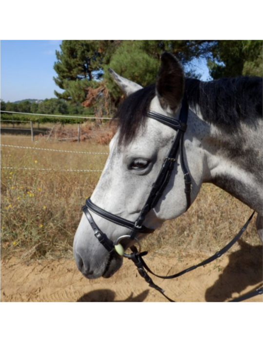 Bridon muserolle combinée SB – Sellerie Baude