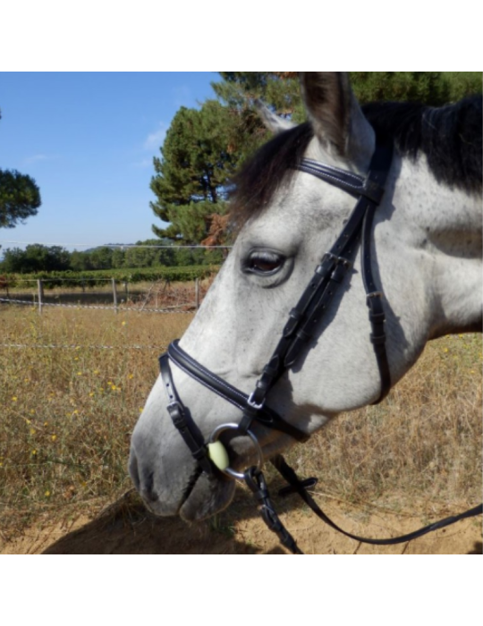 Bridon muserolle combinée SB – Sellerie Baude