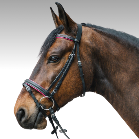 STAR bridon DIAMOND 2